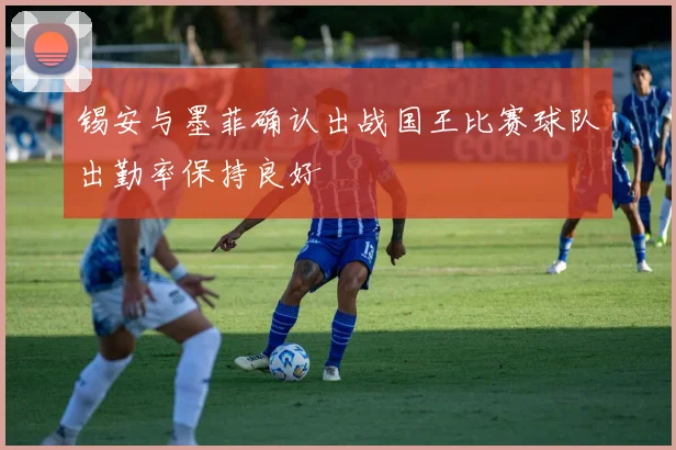 锡安与墨菲确认出战国王比赛球队出勤率保持良好