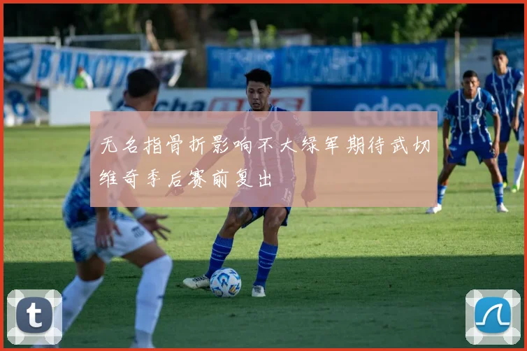 无名指骨折影响不大绿军期待武切维奇季后赛前复出
